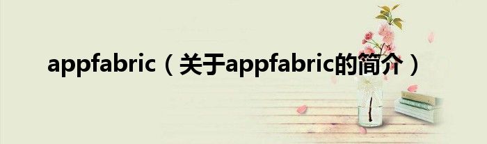 appfabric（關(guān)于appfabric的簡介）