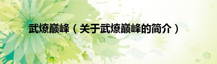 武燎巔峰（關(guān)于武燎巔峰的簡(jiǎn)介）