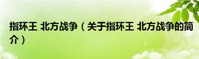 指環(huán)王 北方戰(zhàn)爭（關(guān)于指環(huán)王 北方戰(zhàn)爭的簡介）