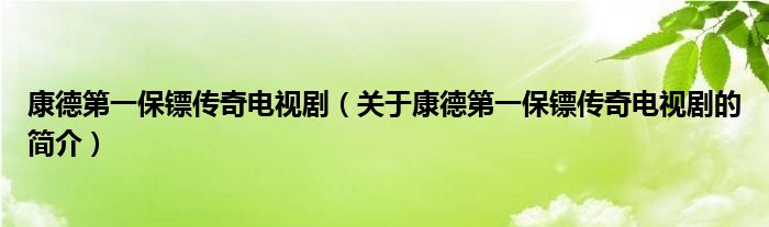 康德第一保鏢傳奇電視?。P(guān)于康德第一保鏢傳奇電視劇的簡(jiǎn)介）