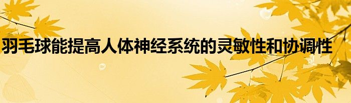 羽毛球能提高人體神經(jīng)系統(tǒng)的靈敏性和協(xié)調(diào)性