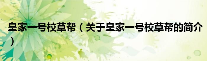 皇家一號(hào)校草幫（關(guān)于皇家一號(hào)校草幫的簡(jiǎn)介）