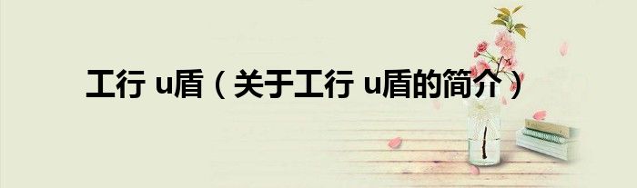 工行 u盾（關(guān)于工行 u盾的簡介）