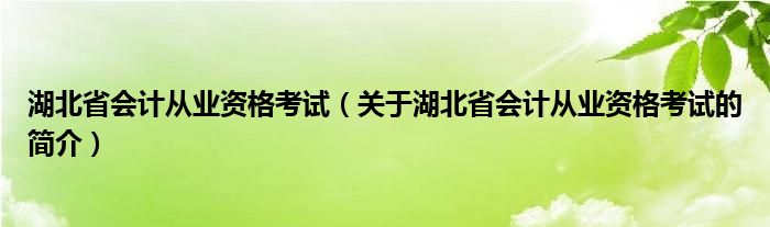 湖北省會(huì)計(jì)從業(yè)資格考試（關(guān)于湖北省會(huì)計(jì)從業(yè)資格考試的簡(jiǎn)介）