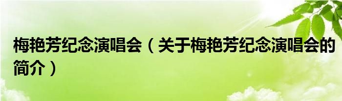 梅艷芳紀念演唱會（關于梅艷芳紀念演唱會的簡介）