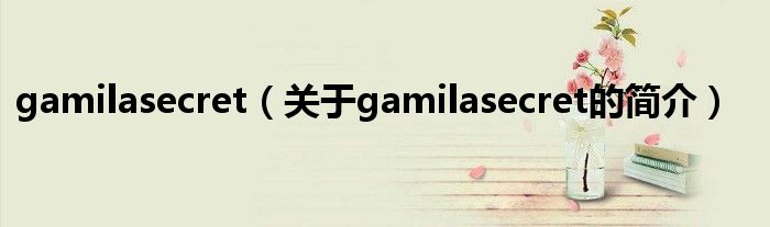 gamilasecret（關(guān)于gamilasecret的簡(jiǎn)介）