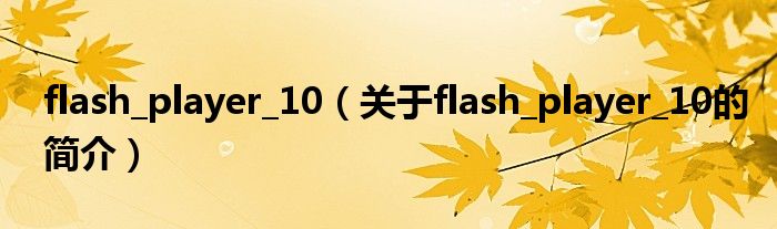 flash_player_10（關于flash_player_10的簡介）