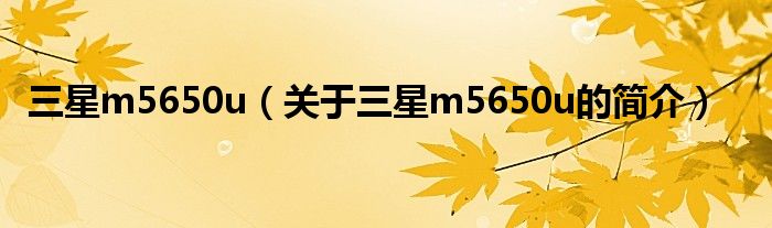 三星m5650u（關(guān)于三星m5650u的簡介）