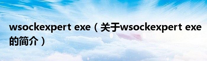 wsockexpert exe（關(guān)于wsockexpert exe的簡(jiǎn)介）