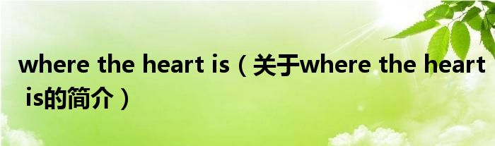 where the heart is（關(guān)于where the heart is的簡介）