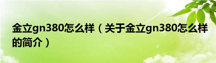 金立gn380怎么樣（關(guān)于金立gn380怎么樣的簡介）