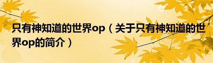 只有神知道的世界op（關(guān)于只有神知道的世界op的簡(jiǎn)介）