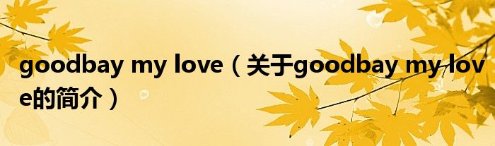 goodbay my love（關于goodbay my love的簡介）