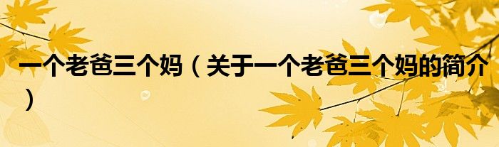 一個(gè)老爸三個(gè)媽（關(guān)于一個(gè)老爸三個(gè)媽的簡介）