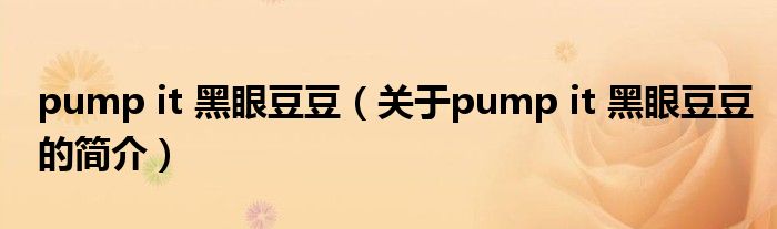 pump it 黑眼豆豆（關(guān)于pump it 黑眼豆豆的簡(jiǎn)介）