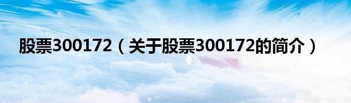 股票300172（關(guān)于股票300172的簡介）