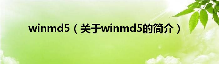 winmd5（關于winmd5的簡介）