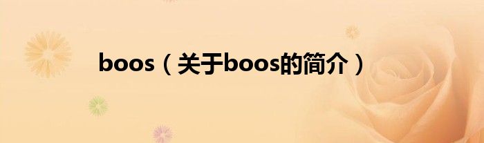 boos（關(guān)于boos的簡介）