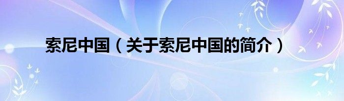 索尼中國（關(guān)于索尼中國的簡(jiǎn)介）