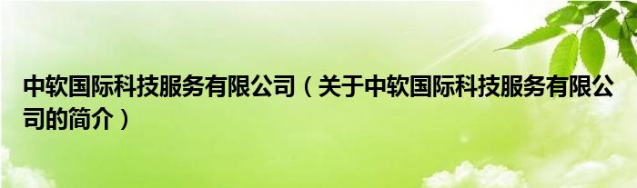 中軟國際科技服務有限公司（關于中軟國際科技服務有限公司的簡介）