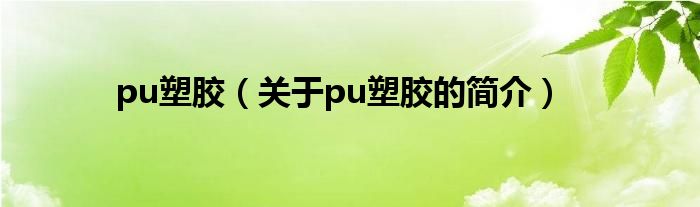 pu塑膠（關(guān)于pu塑膠的簡介）