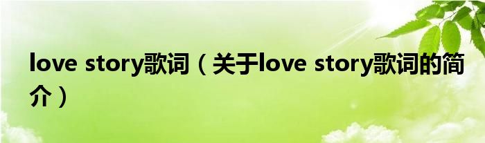 love story歌詞（關于love story歌詞的簡介）