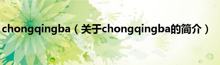 chongqingba（關(guān)于chongqingba的簡(jiǎn)介）