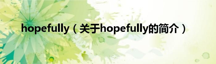 hopefully（關(guān)于hopefully的簡(jiǎn)介）