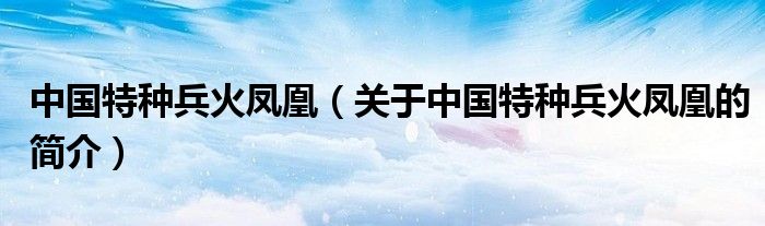 中國特種兵火鳳凰（關于中國特種兵火鳳凰的簡介）