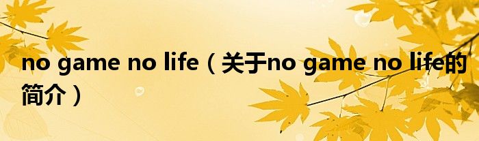 no game no life（關(guān)于no game no life的簡(jiǎn)介）