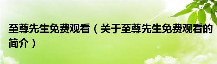 至尊先生免費觀看（關于至尊先生免費觀看的簡介）