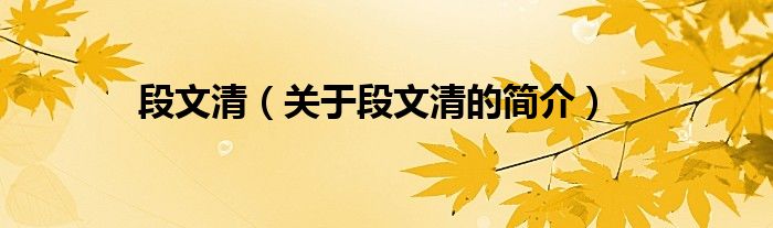 段文清（關(guān)于段文清的簡(jiǎn)介）