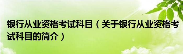 銀行從業(yè)資格考試科目（關(guān)于銀行從業(yè)資格考試科目的簡介）