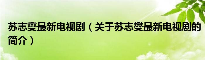 蘇志燮最新電視?。P(guān)于蘇志燮最新電視劇的簡介）