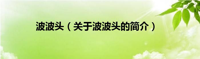 波波頭（關(guān)于波波頭的簡介）