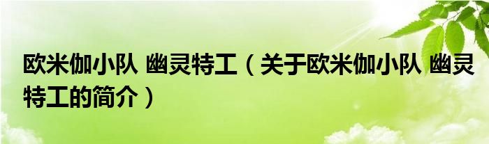 歐米伽小隊 幽靈特工（關(guān)于歐米伽小隊 幽靈特工的簡介）