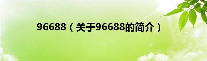 96688（關(guān)于96688的簡介）