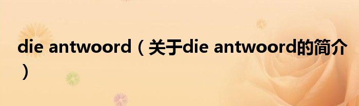 die antwoord（關(guān)于die antwoord的簡介）