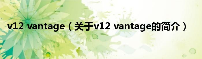 v12 vantage（關于v12 vantage的簡介）