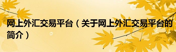 網(wǎng)上外匯交易平臺（關于網(wǎng)上外匯交易平臺的簡介）