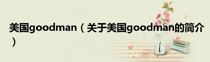 美國goodman（關(guān)于美國goodman的簡(jiǎn)介）