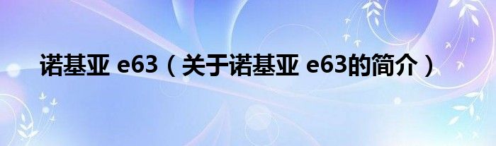 諾基亞 e63（關(guān)于諾基亞 e63的簡介）