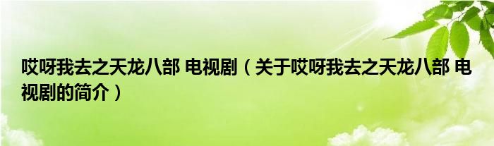 哎呀我去之天龍八部 電視劇（關(guān)于哎呀我去之天龍八部 電視劇的簡介）