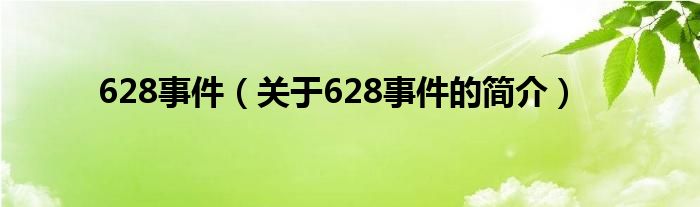 628事件（關(guān)于628事件的簡(jiǎn)介）