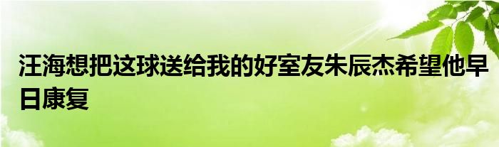 汪海想把這球送給我的好室友朱辰杰希望他早日康復