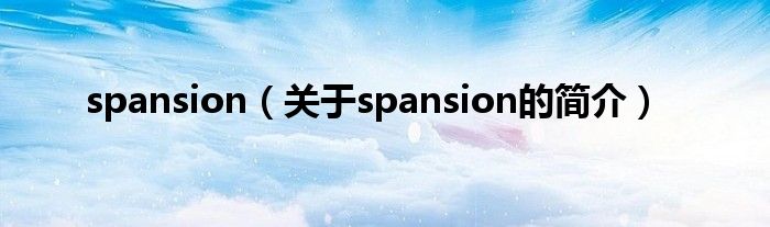 spansion（關于spansion的簡介）