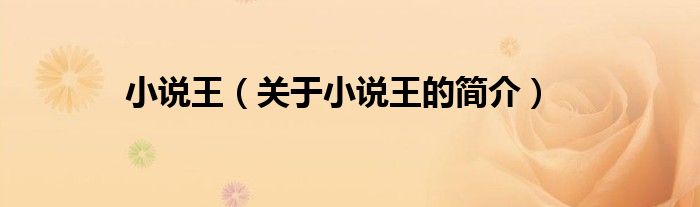 小說(shuō)王（關(guān)于小說(shuō)王的簡(jiǎn)介）