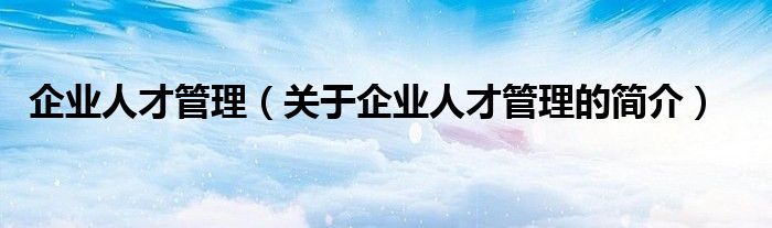 企業(yè)人才管理（關于企業(yè)人才管理的簡介）