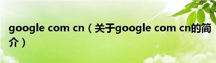 google com cn（關于google com cn的簡介）