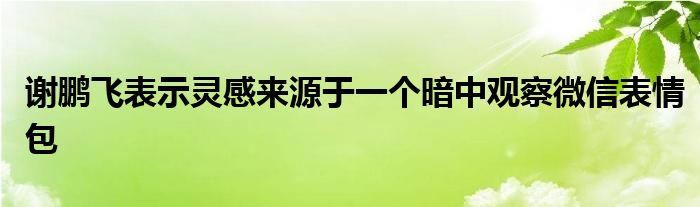 謝鵬飛表示靈感來(lái)源于一個(gè)暗中觀察微信表情包